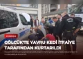 news card bb1d1b9959f26bde