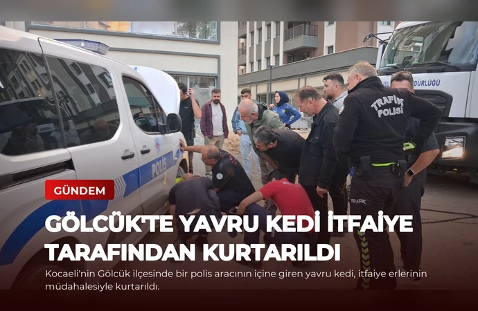 news card bb1d1b9959f26bde