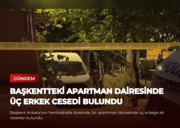 news card c1b190e75694cf79