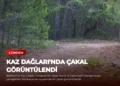 news card c29fdde1b10d2771