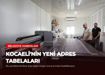 news card c9d5a485155512c6