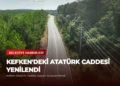 news card ca3aefcfa33b16d3