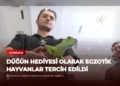 news card ca5349fb9df9d15b