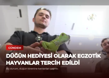 news card ca5349fb9df9d15b