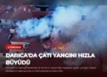 news card ce6b0fb67651da12