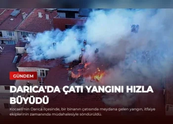 news card ce6b0fb67651da12