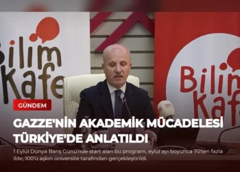 news card d0de4030ec0d35d5