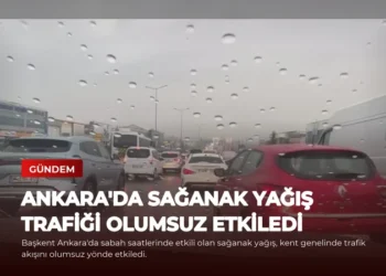 news card d20dc4e25839b732