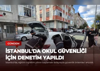news card d49cde33c8f3e045
