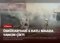 news card d6916dcbafe4036c