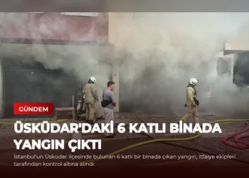 news card d6916dcbafe4036c