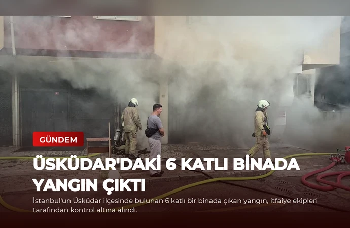 news card d6916dcbafe4036c