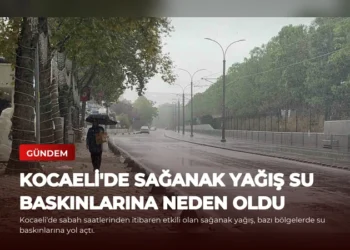 news card d7f8c07937ecdd99