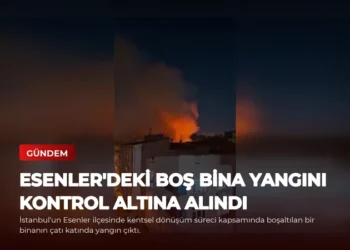 news card d950059246f5aa64