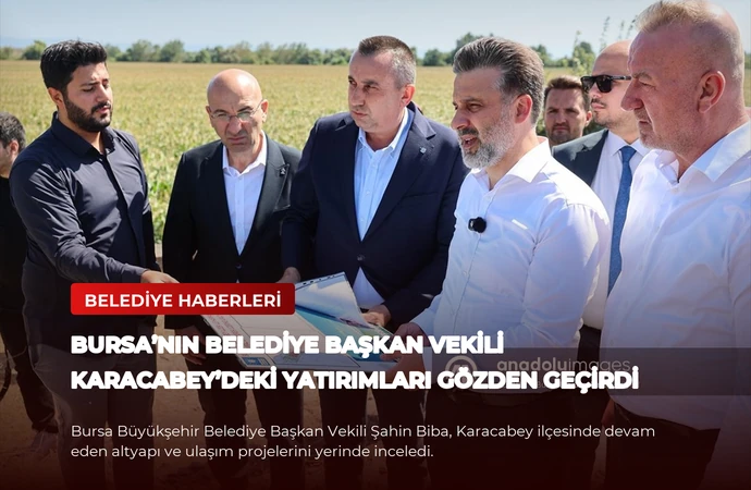 news card dbd42aad199481b1