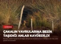 news card e051cbb4dd3c5540