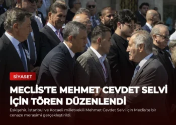 news card e17b3e3055c15168