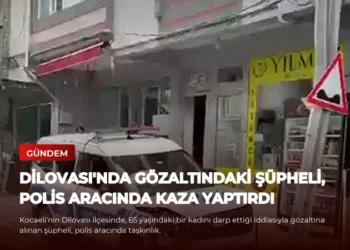 news card e214f3c39cdb3b66