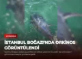 news card e32acba72a2c94b0