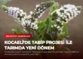 news card e36b15eca11d2f24