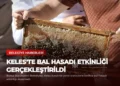 news card e6b6848c5380701a