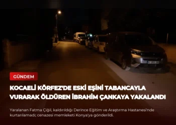 news card e80256101fb1f341
