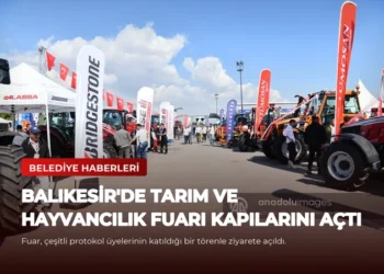 news card e9af5440b3a079c1