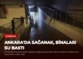 news card eed6c4d6a982c49f