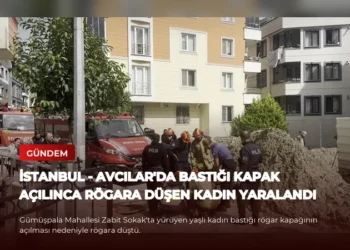 news card f162585d19964315