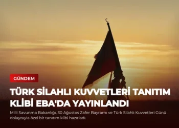 news card f305419008208042