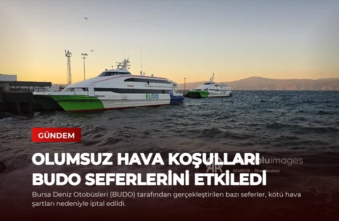 news card f384680d102f06cf