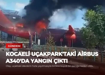 news card f71529c5c51136f7