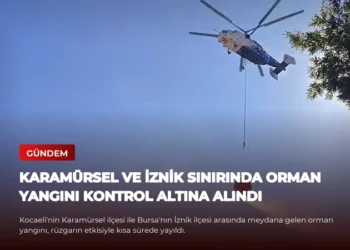 news card f8ffb25bdd9b5a14