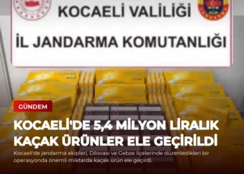 news card fc2b06c6d3886912