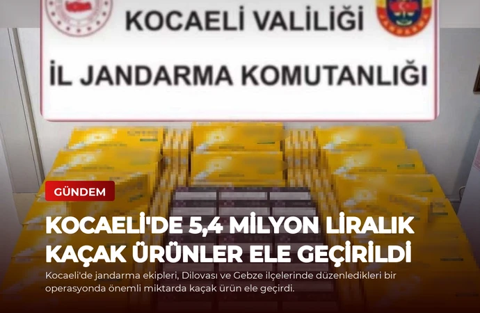 news card fc2b06c6d3886912