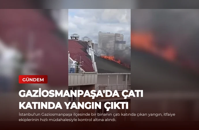 news card fc3050a3e815fa93