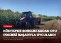 news card ffc9a7ac95eeace3