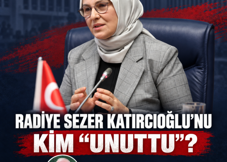 sezer 460 6e98f7420a03