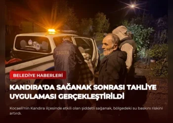 news card 00608b95279154fe