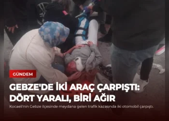 news card 01e305bc88d26d6b