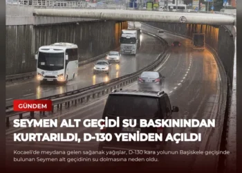 news card 02c17666e4d9282e