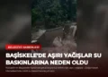 news card 04797e6c8c28185f