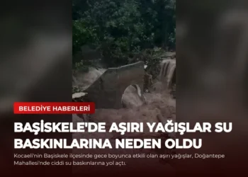 news card 04797e6c8c28185f