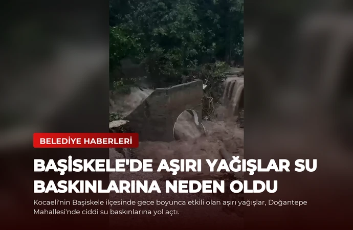 news card 04797e6c8c28185f