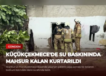 news card 076774c3adfc4f86