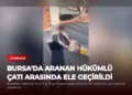 news card 085b396945a1cff6