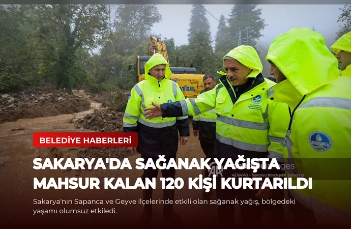 news card 08cd4e042d074e46