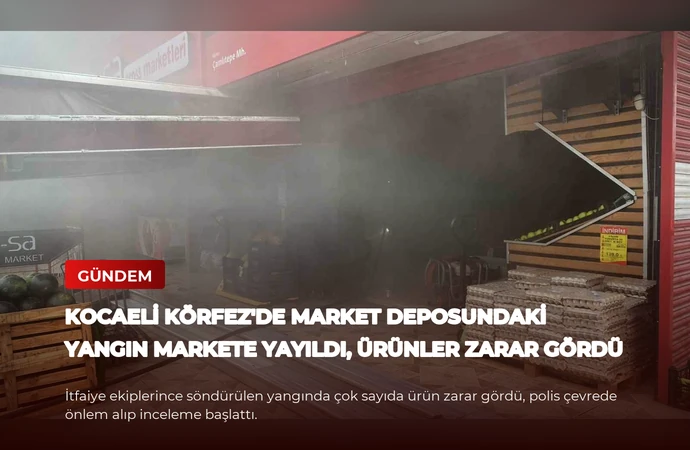 news card 0bbdb7cb0e5f7242