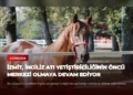 news card 0cd48c6936b2d819