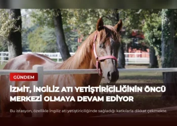 news card 0cd48c6936b2d819
